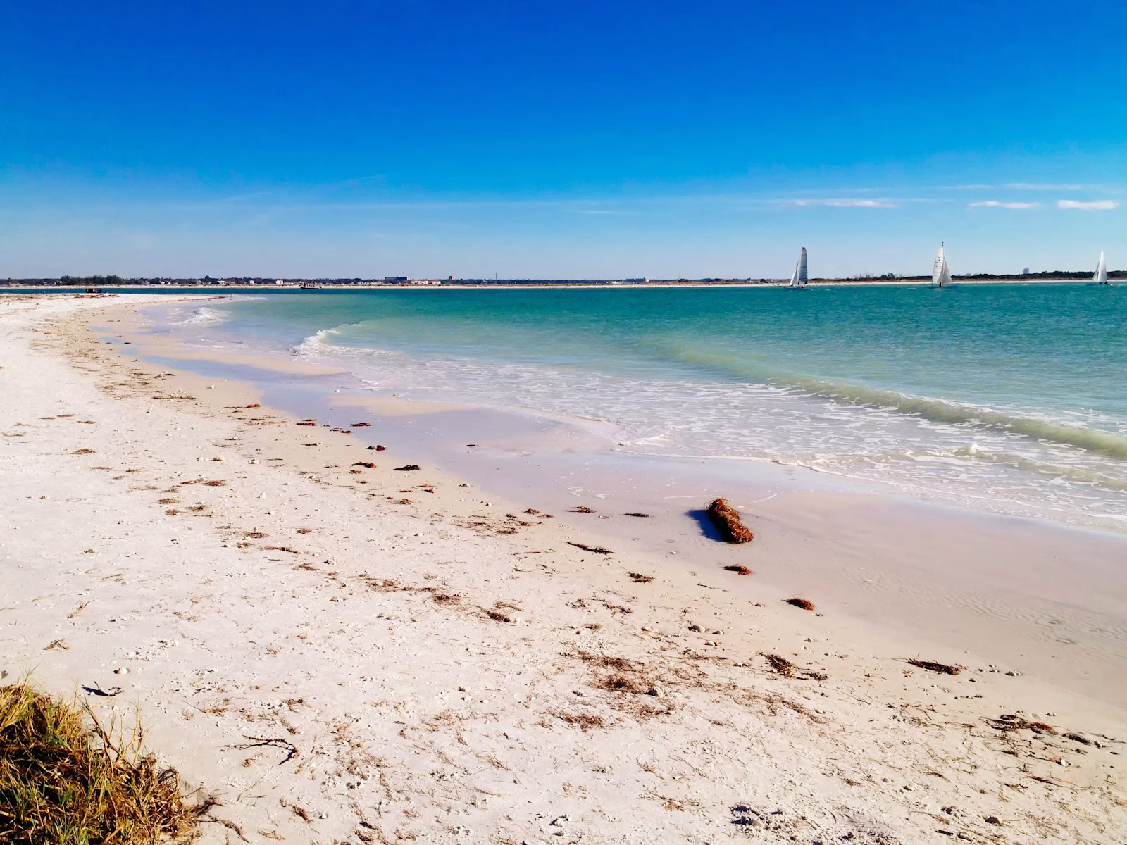 Best Beaches Near Tampa, FL: A Local Guide to Gulf Coast Shores