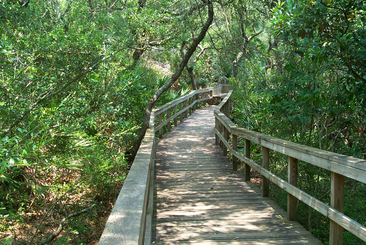 Best Hiking Trails Near Tampa, FL: A Local Guide to Nature Trails and Preserves
