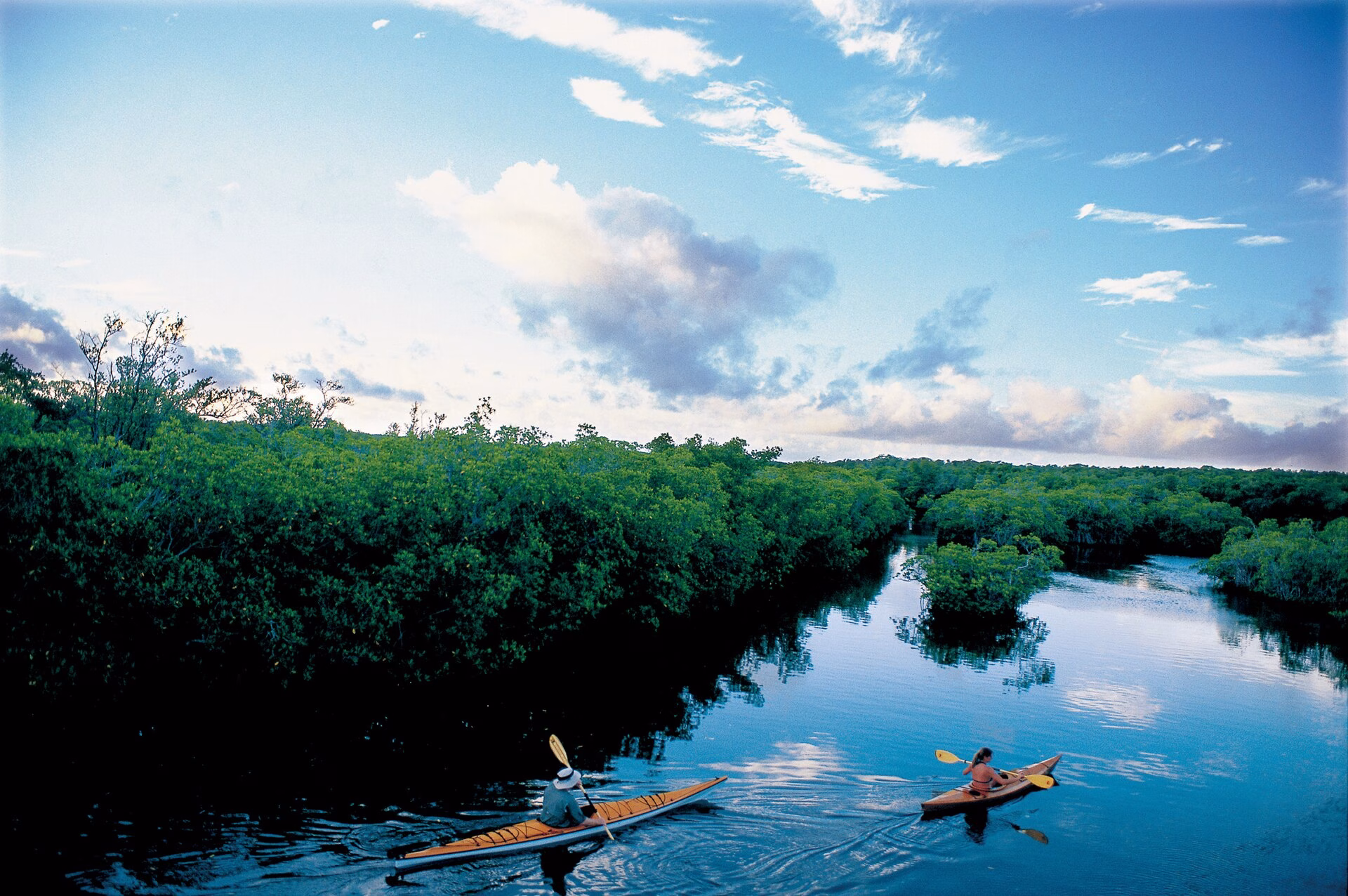 Best Kayaking and Paddleboarding in Tampa Bay: A Local Water Guide