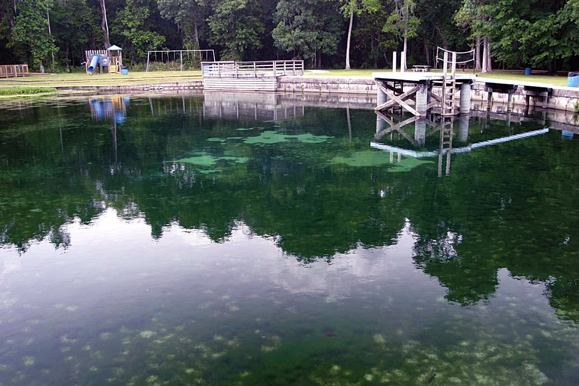 Best Springs Near Tampa, FL: A Local Guide to Crystal-Clear Swimming Holes