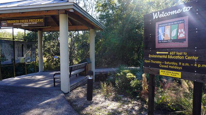Best Hiking Trails Near Tampa, FL: A Local Guide to Nature Trails and Preserves 6 Brooker Creek Preserve