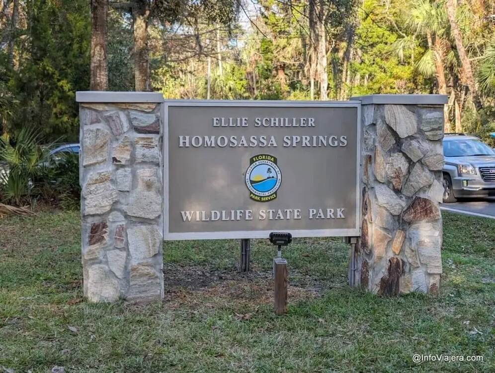 Best Springs Near Tampa, FL: A Local Guide to Crystal-Clear Swimming Holes 7 Ellie Schiller Homosassa Springs Wildlife State Park