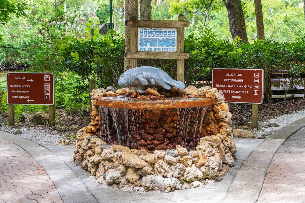 Best Springs Near Tampa, FL: A Local Guide to Crystal-Clear Swimming Holes 8 Ellie Schiller Homosassa Springs Wildlife State Park — additional view