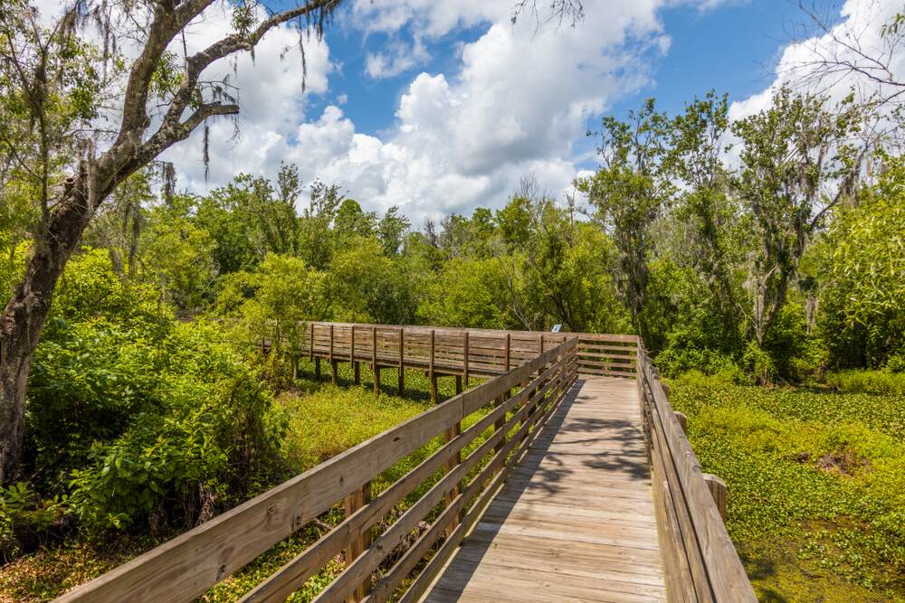 Best Hiking Trails Near Tampa, FL: A Local Guide to Nature Trails and Preserves 3 Lettuce Lake Conservation Park — additional view