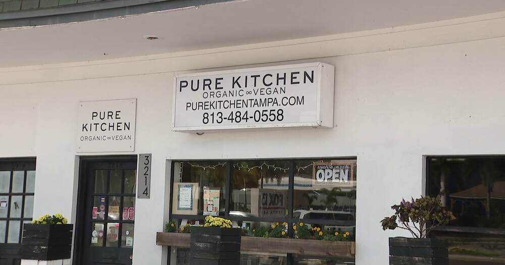 Best Vegan and Vegetarian Restaurants in Tampa, FL: A Plant-Based Local Guide 3 Pure Kitchen — additional view