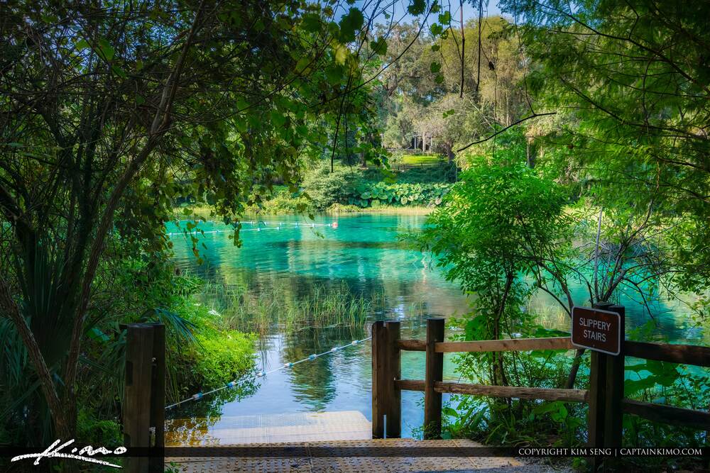 Best Springs Near Tampa, FL: A Local Guide to Crystal-Clear Swimming Holes 4 Rainbow Springs State Park