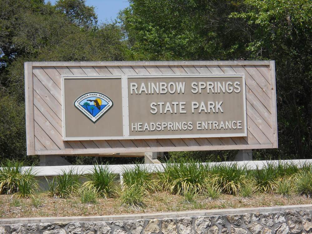 Best Springs Near Tampa, FL: A Local Guide to Crystal-Clear Swimming Holes 5 Rainbow Springs State Park — additional view