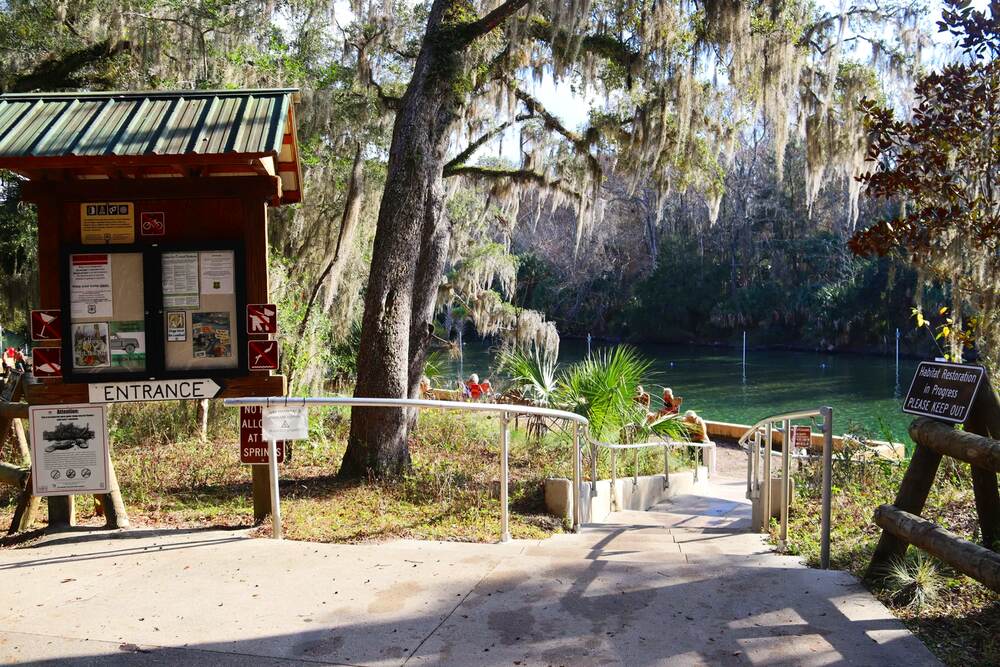 Best Springs Near Tampa, FL: A Local Guide to Crystal-Clear Swimming Holes 6 Three Sisters Springs