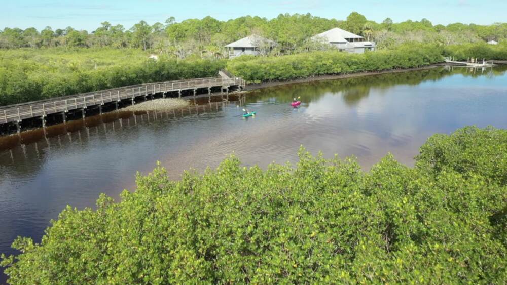 Upper Tampa Bay Conservation Park — additional view