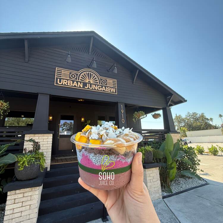 Best Vegan and Vegetarian Restaurants in Tampa, FL: A Plant-Based Local Guide 8 Urban Jungalow