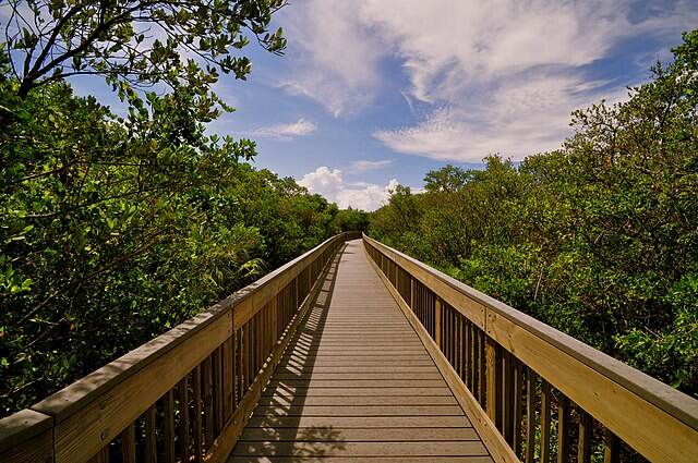 Best Hiking Trails Near Tampa, FL: A Local Guide to Nature Trails and Preserves 7 Weedon Island Preserve