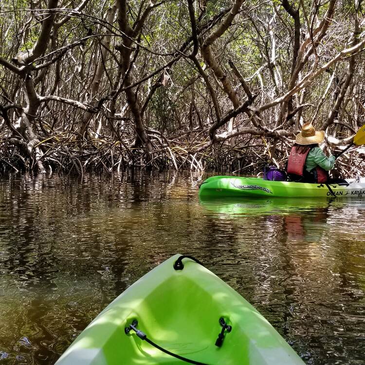 Weedon Island Preserve and ECOmersion — additional view