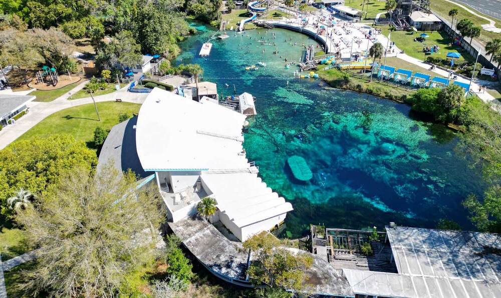 Best Springs Near Tampa, FL: A Local Guide to Crystal-Clear Swimming Holes 3 Weeki Wachee Springs State Park — additional view